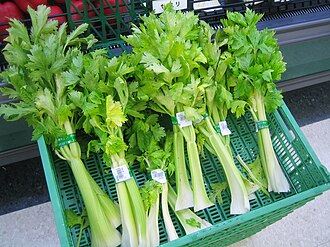 Celery, Cucumber, & Pork Hydration Broth